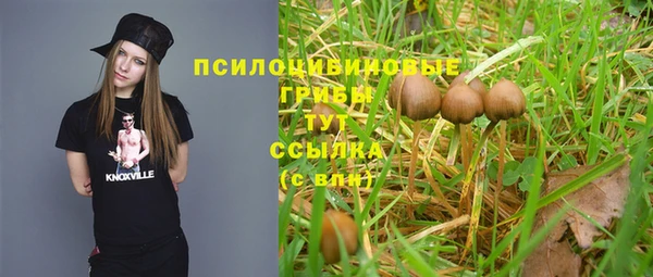 амф Мегион