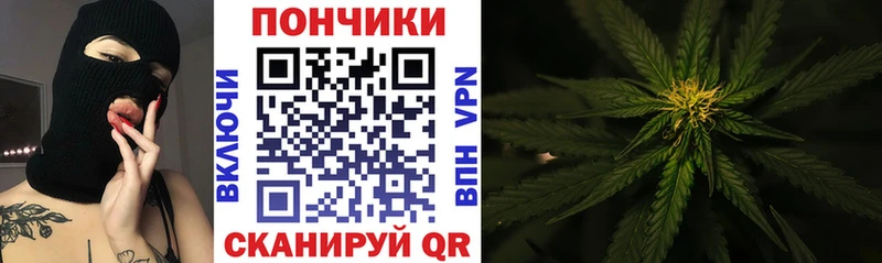 где купить наркоту  дарк нет официальный сайт  гидра ссылки  Шишки марихуана LSD WEED  Кукмор 